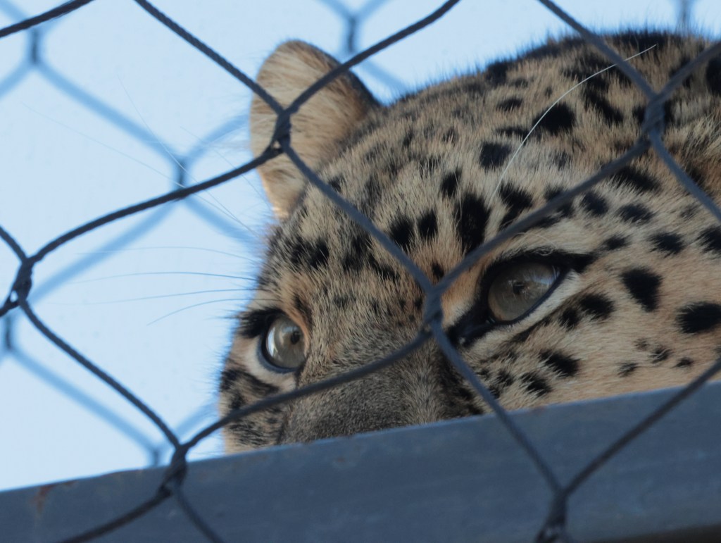 beyond what we can see — photograph by Vincent Melli