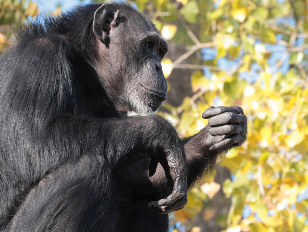 pondering philosophies — photograph by Vincent Melli